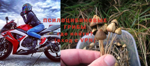дмт Верхний Тагил